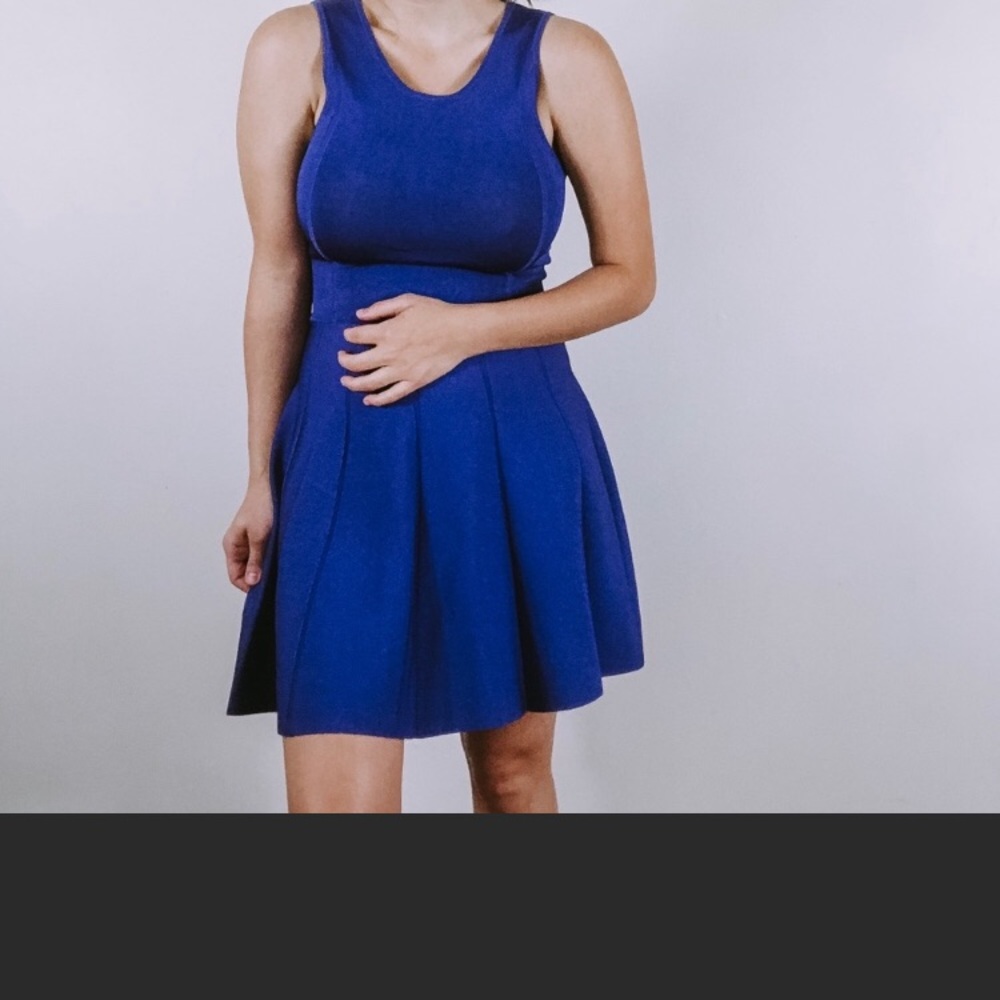 NWT Parker Fit and Flare Dress with cutout back